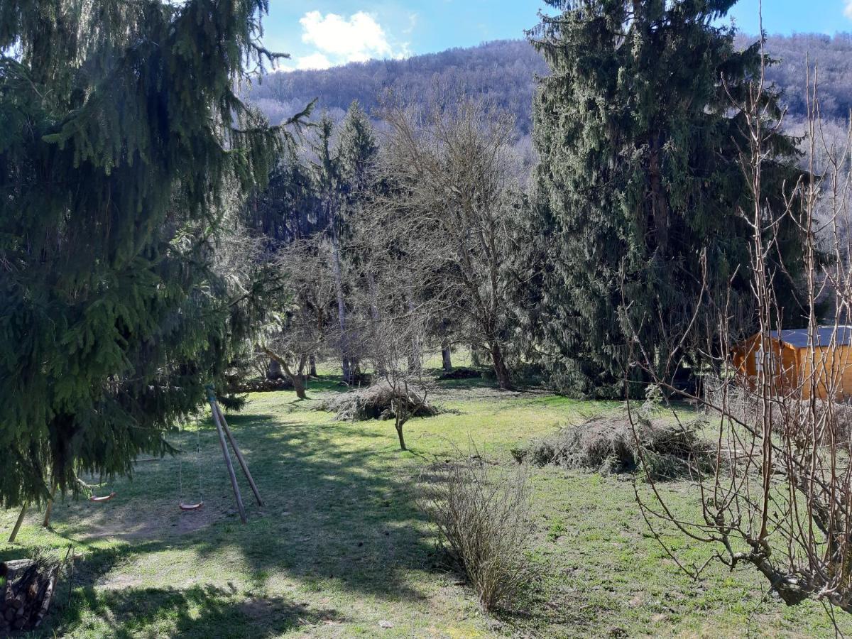 Chalet Tout Confort Proche D Ax 3 Domaines Vebre Exteriér fotografie